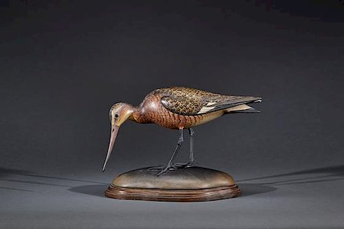 Black-Tailed Godwit William Gibian (b. 1946)