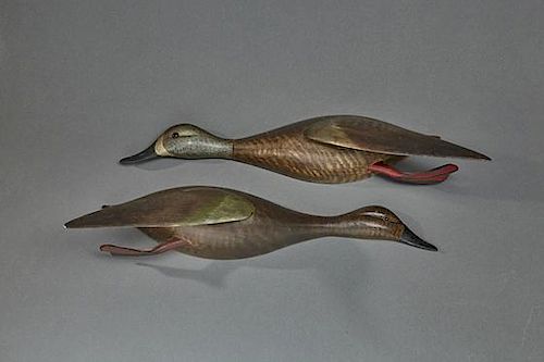 Flying Blue-Winged Teal Pair Chauncey Wheeler (1888-1945)