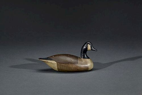 Rare Miniature Canada Goose Lloyd Parker (1859-1921)