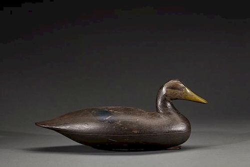Black Duck Ellis Parker (1870-1952)