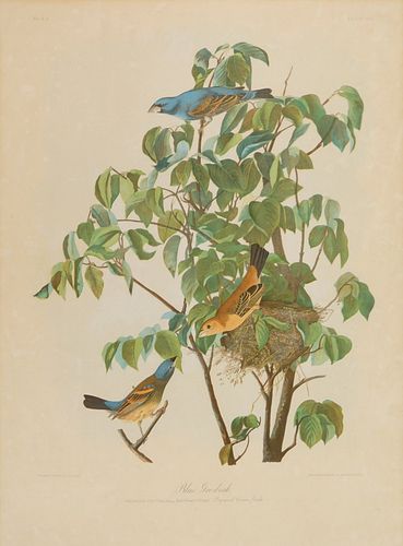 John J. Audubon chromolithograph