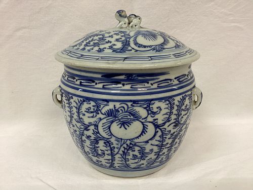 Chinese Blue and White Covered Porcelain Jar