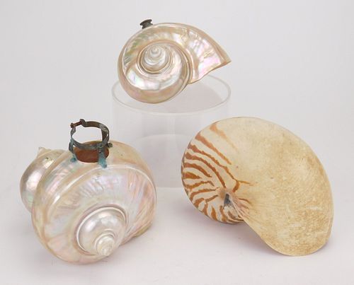 2 Abalone conch shell lamp shades