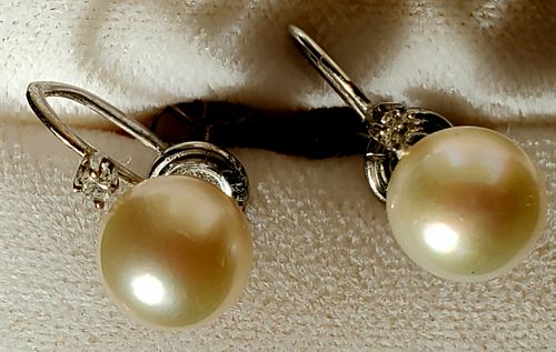 14k White Gold Pearl Earrings