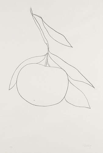 Ellsworth Kelly Grapefruit Lithograph 1965-66