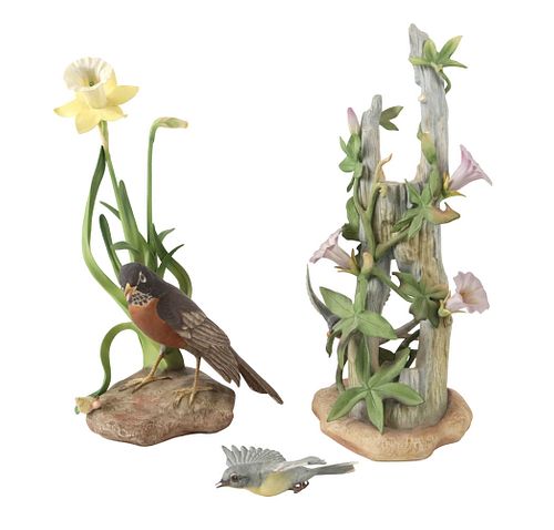 Boehm Parula Warblers & Robin with Daffodil 