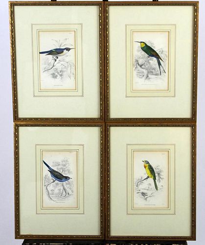 4 hand colored ornithological book plates