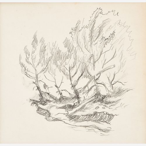  Thomas Hart Benton "Trees Along the Missouri" Graphite (ca. 1965)