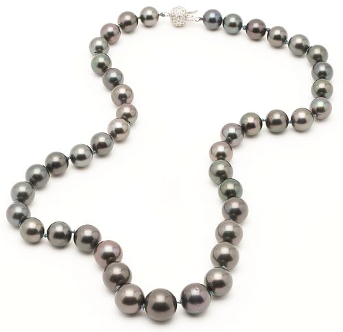 Ladies' 14K & Tahitian Black Pearl Necklace