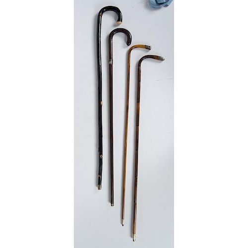 Twig Canes with Silver Mounts