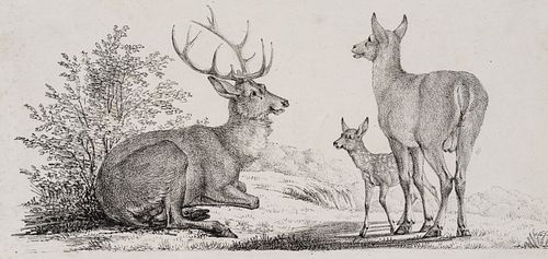 R. WINTER (1784-1852), Roe deer family resting in a meadow,