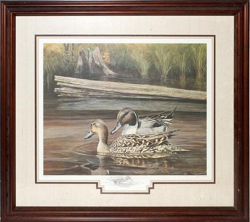JIM FOOTE LITHOGRAPH SPRING COURTSHIP PINTAILS 1884