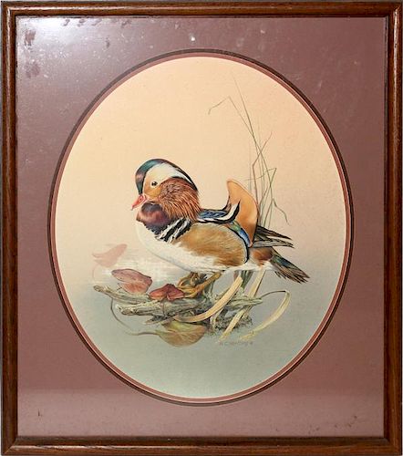 H.C. HERTLING COLORED LITHOGRAPH DUCK ON LILY PADS