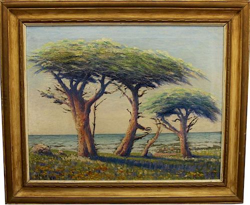 William Adam (1846 - 1931) Monterey Cypress