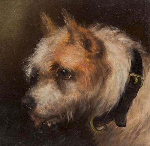 English School, (19th century), Two works: Portraits of Terriers