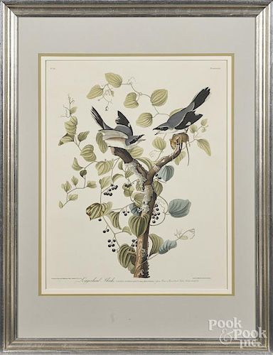 After John James Audubon (American 1785-1851), Loggerhead Shrike, Plate LVII