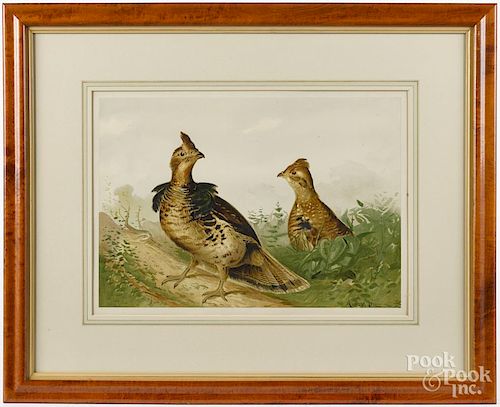 Alexander Pope Jr., set of four chromolithographs, titled The Valley Quail, The Canada Grouse