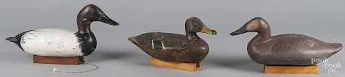 Three carved and painted duck decoys, two are probably Chesapeake Bay area, longest - 17''.