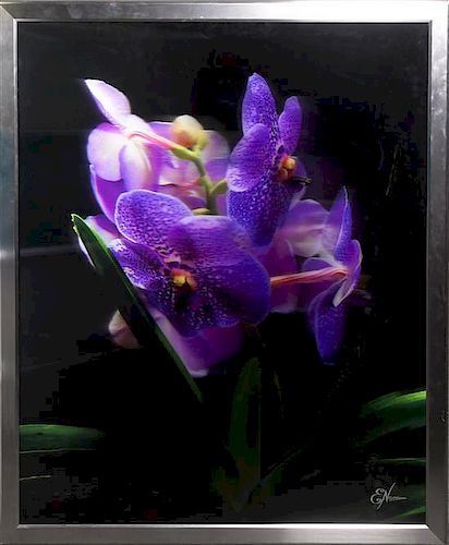 * Eugene Nemirovsky, (Ukrainian/American, 20th century), Untitled (orchids)