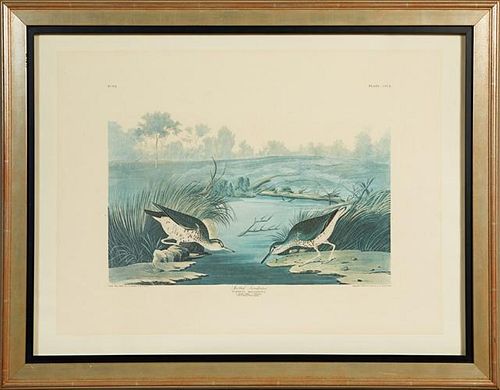 John James Audubon (1785-1851), "Spotted Sandpiper