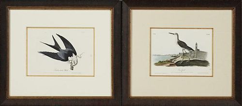John James Audubon (1785-1851), "Greenshank," and