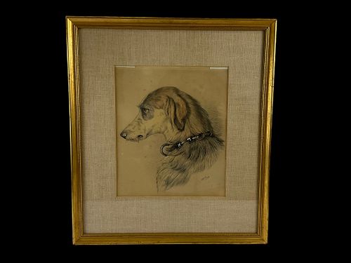 JW Parry Dog Portrait Colored Pencil Drawing