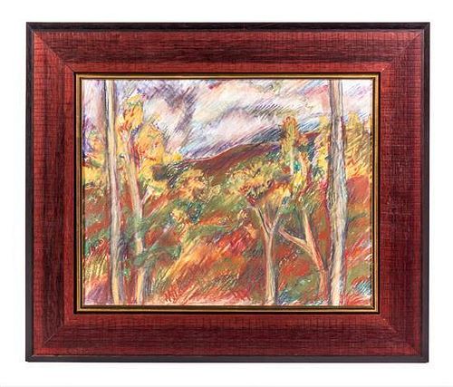 * Barbara Salvaggio, (20th Century), Mountain View Through the Trees: Glenville, North Carolina, 2005