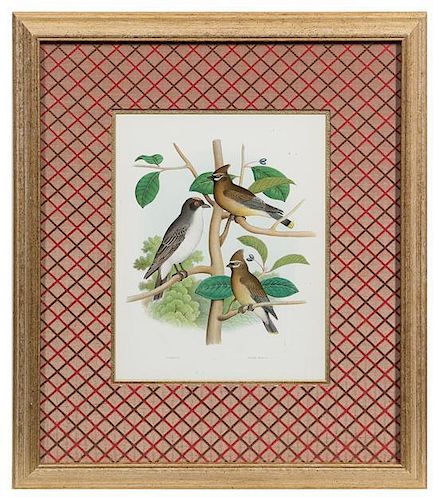 * Two Ornithological Prints 10 5/8 x 8 3/8 inches (visible).