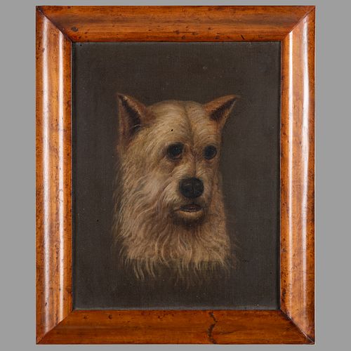 20th Century School: Portrait of a Terrier