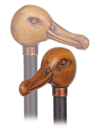 141. Albatross Day Cane -Ca. 1920 -Boxwood albatross head with the characterizing large hooked beak and nasal tubes, .ebony s