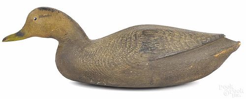 Carved and painted swimming black duck decoy, ca. 1940, 17 1/2'' l.