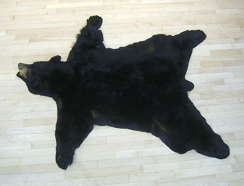 Black bear trophy rug.