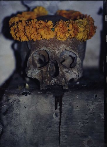 LARGE PHOTOGRAPHIC PRINT DAY OF THE DEAD SKULL