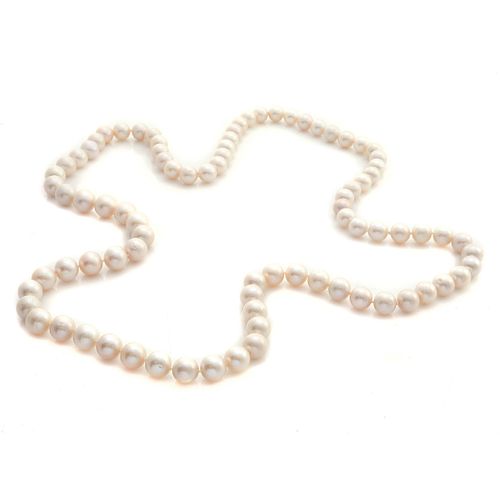 Continuous South Sea, Cultured Pearl Necklace