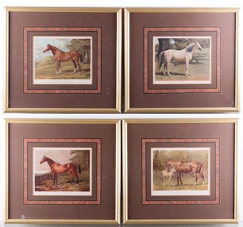 Cassell's Book of the Horse Chromolithographs (4)