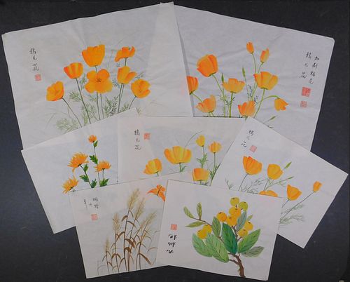 Set of Seven Floral Studies