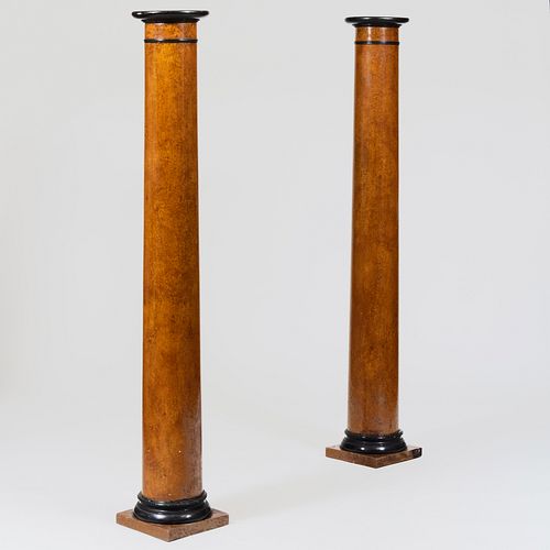 Pair of Biedermeier Style Faux Bois and Ebonized Columns