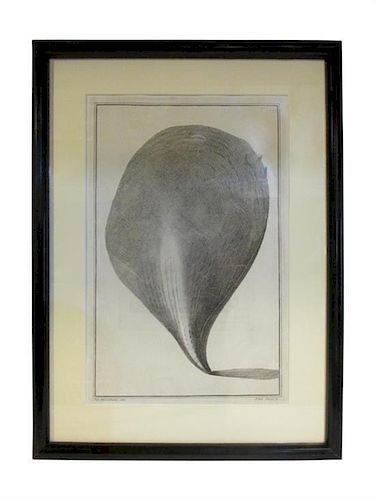 * A Framed Continental Engraving Height 19 1/2 x width 14 1/2 x depth 3/4 inches (frame).