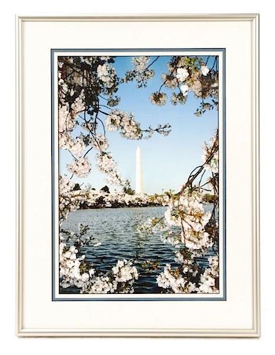 Sachs, "Washington Monument in Spring", Print