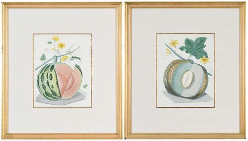 Two George Brookshaw Aquatints of Melons