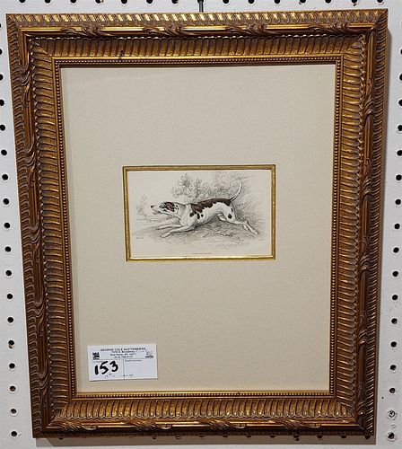 framed 19th C engr "The Fox Hound"