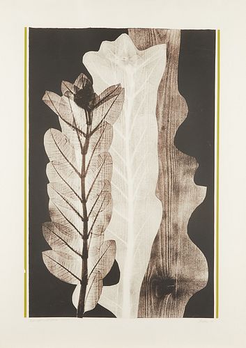 Eugene Larkin	"Transformations" Woodcut Print