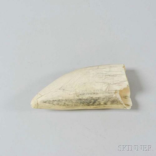 Scrimshaw-decorated Whale's Tooth