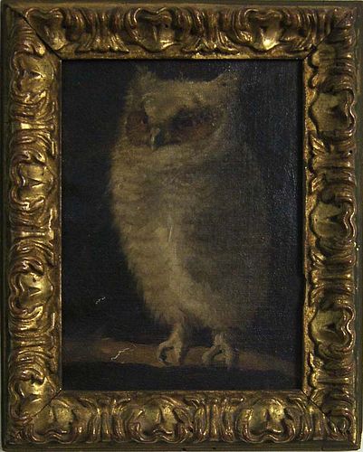 Oil on canvas owl portrait, 19th c., 7 1/2" x 5 1/