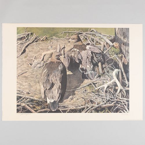 Bruce Lattig (b. 1933): Geese and Eagles: Twelve Plates 