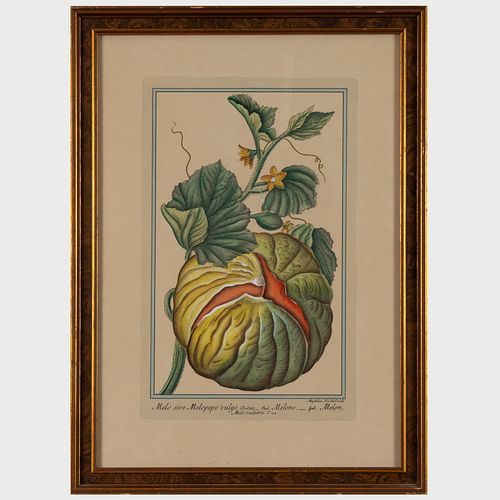 Maddalena Bouchard (1772-1793): Fruits and Vegetables: Four Plates
