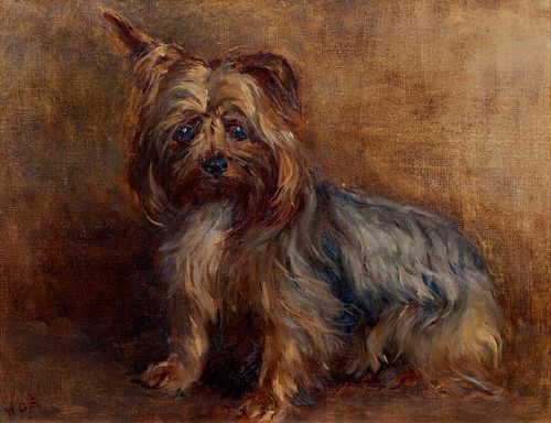 PORTRAIT OF A YORKSHIRE TERRIER OIL PAINTING