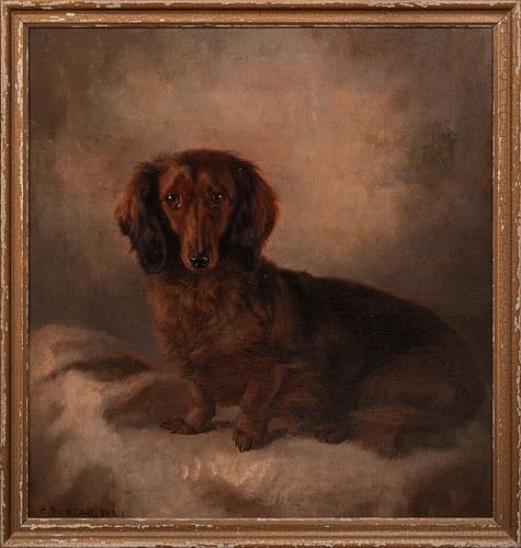 PORTRAIT OF A LONG HAIRED DACHSHUND OIL PAINTING