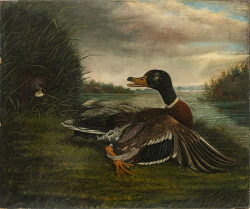 William E. Wright (American (MI)) 19th C. Oil on Canvas Ca. 1889, "Startled Mallard", H 25" W 30"
