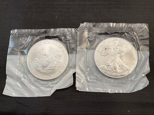 2001 and 2002 American Eagle 0.999 Silver Coins